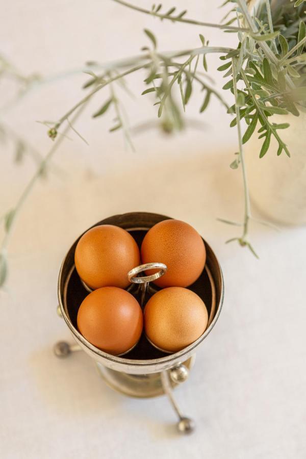 Guinea Fowl House Hotel Кометджи Екстериор снимка